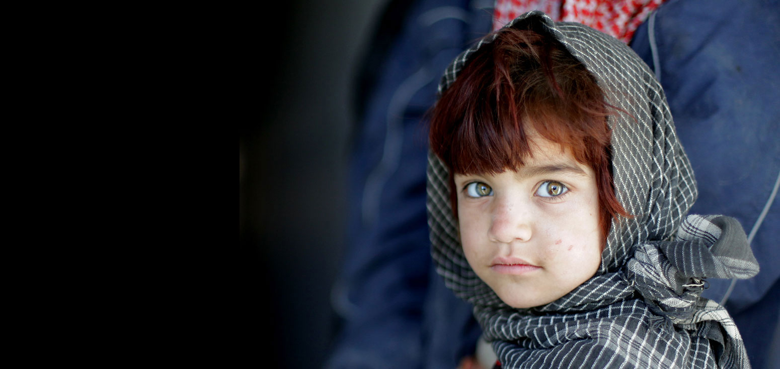 Download Application